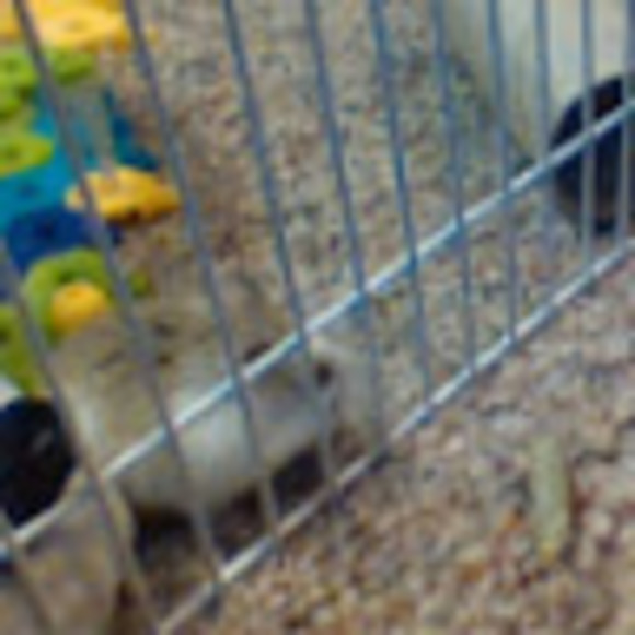 Meet your Posher, Jeremyclayton - Picture 1 of 1